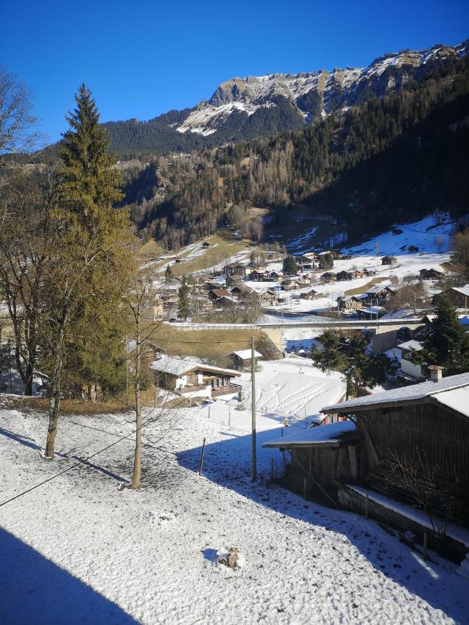 Hotel Staubbach 2*